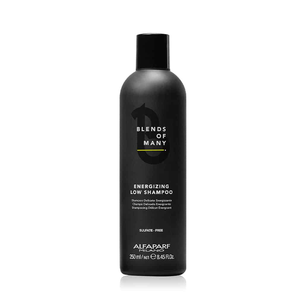 Alfaparf Blends of Many šampon za energiju kose 250ml